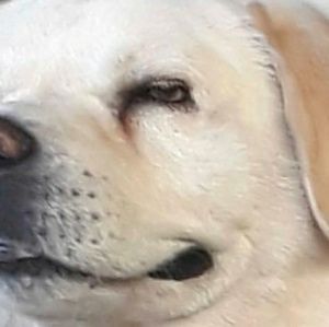 Meet your Posher, Nick